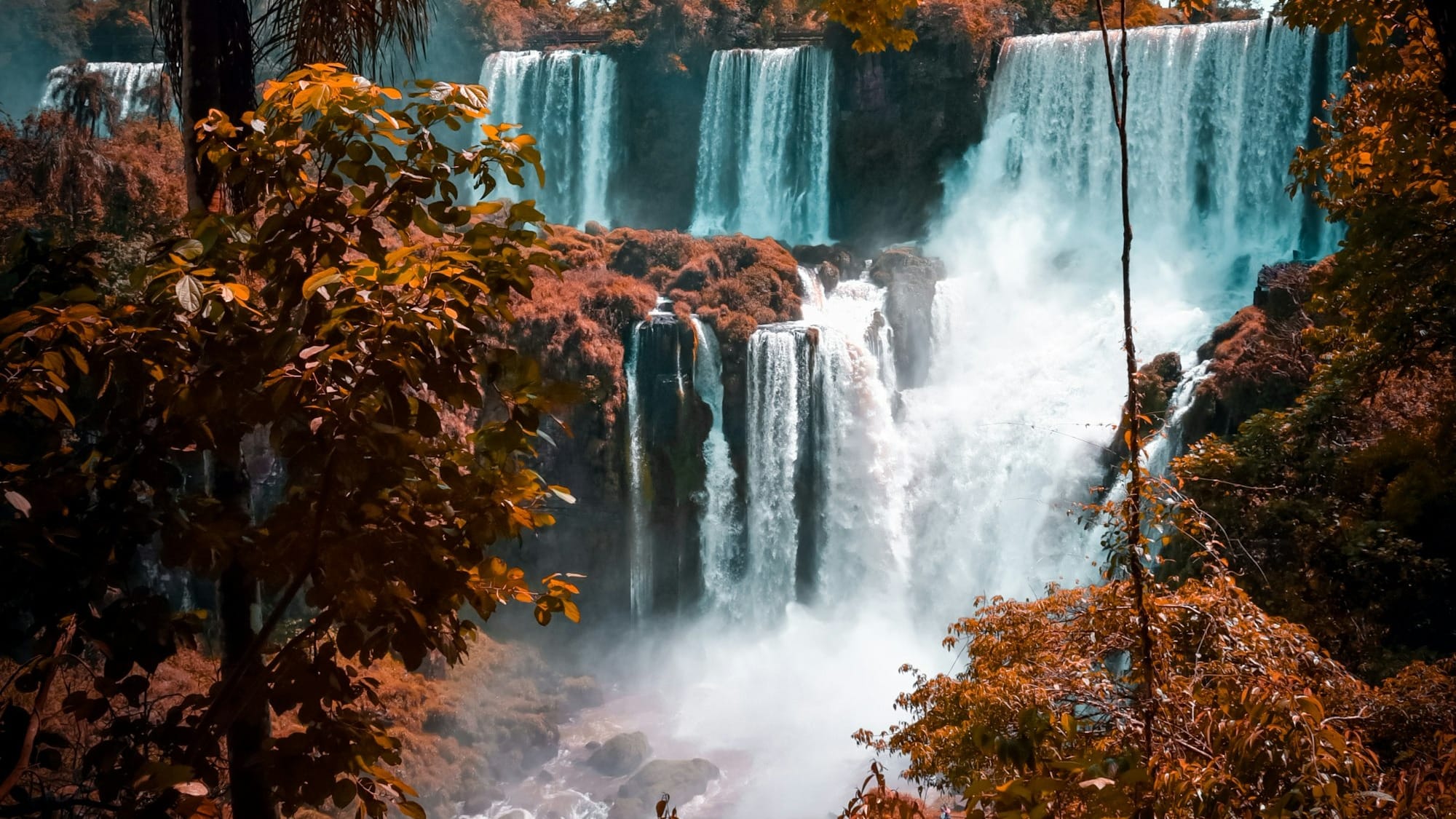 green trees near waterfalls